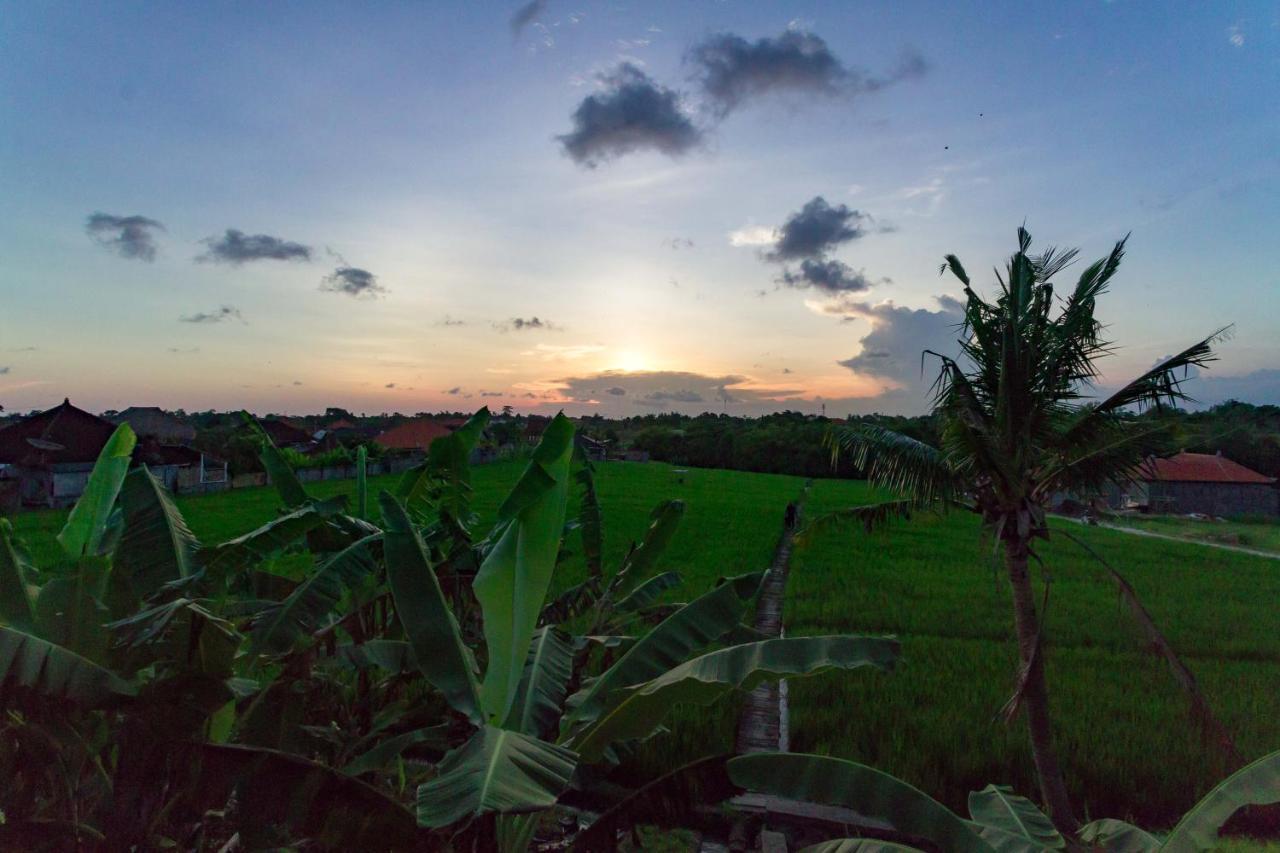 Samadi Bali Homes Чангу Экстерьер фото